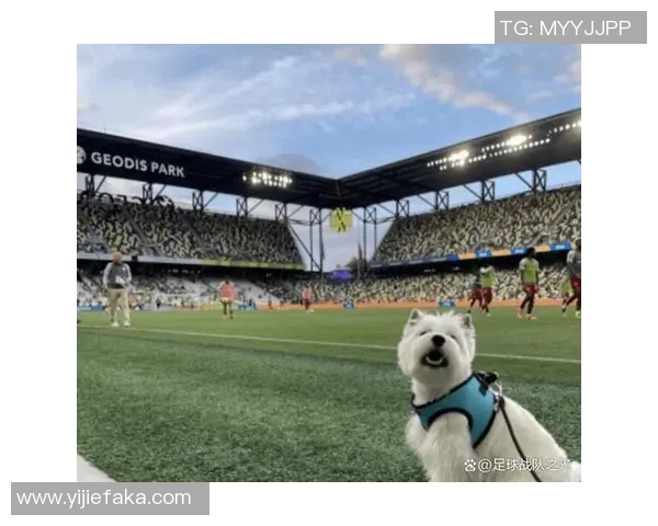 足球明星们的宠物生活：他们如何与爱犬共享训练与比赛之外的时光